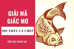 Có thể thấy rằng giấc mơ nhìn thấy cá giúp bạn biết được