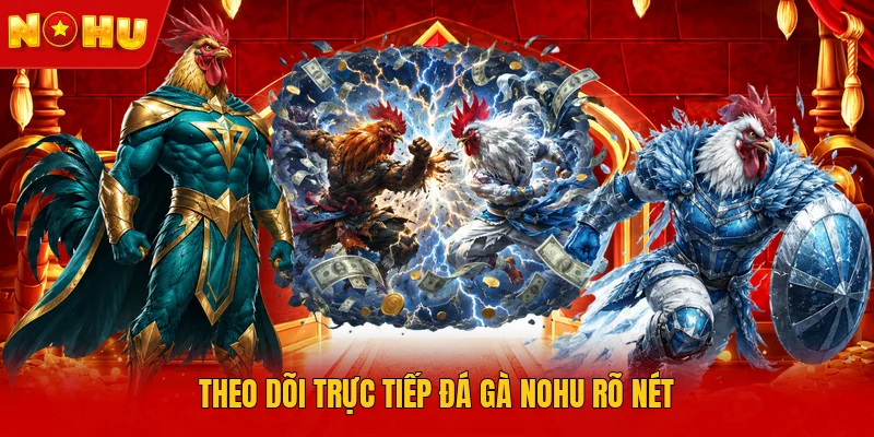 Theo dõi trực tiếp đá gà NOHU rõ nét